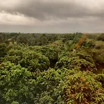 The Palm View