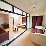 The Palm View