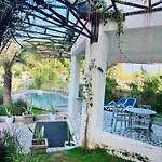 Nest Villa