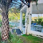 Nest Villa