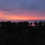 The Sea View