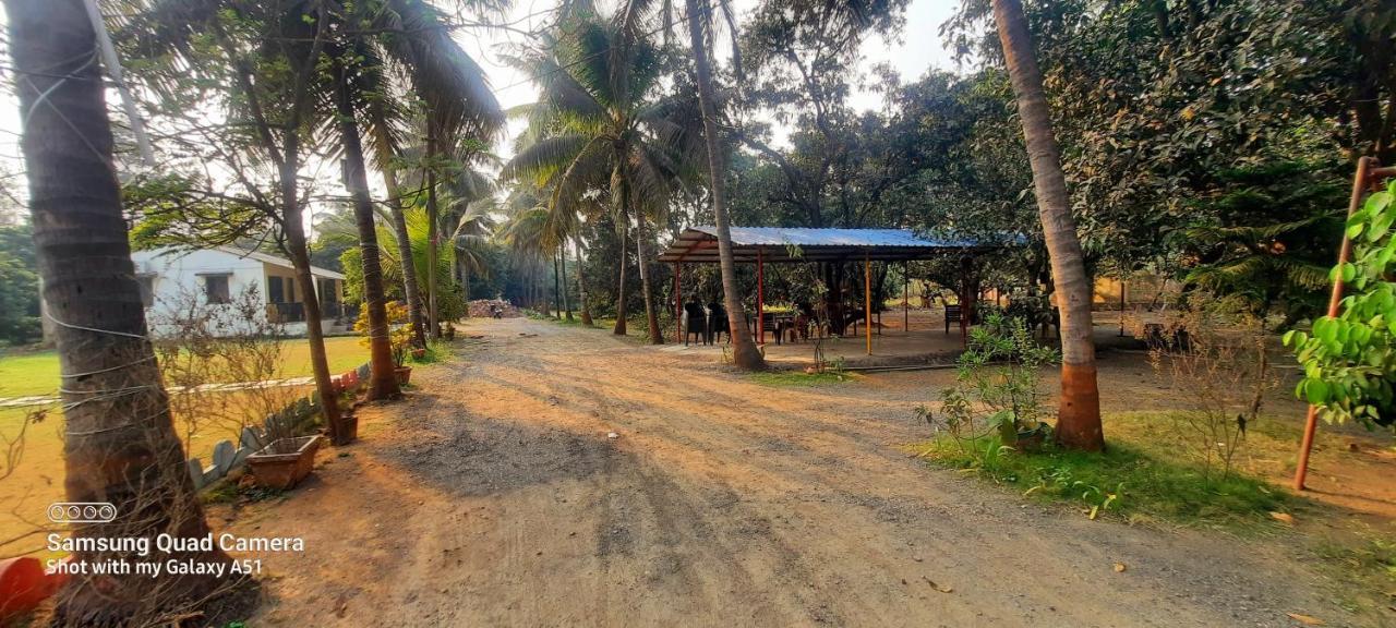Farm stay Anna Farmhouse *