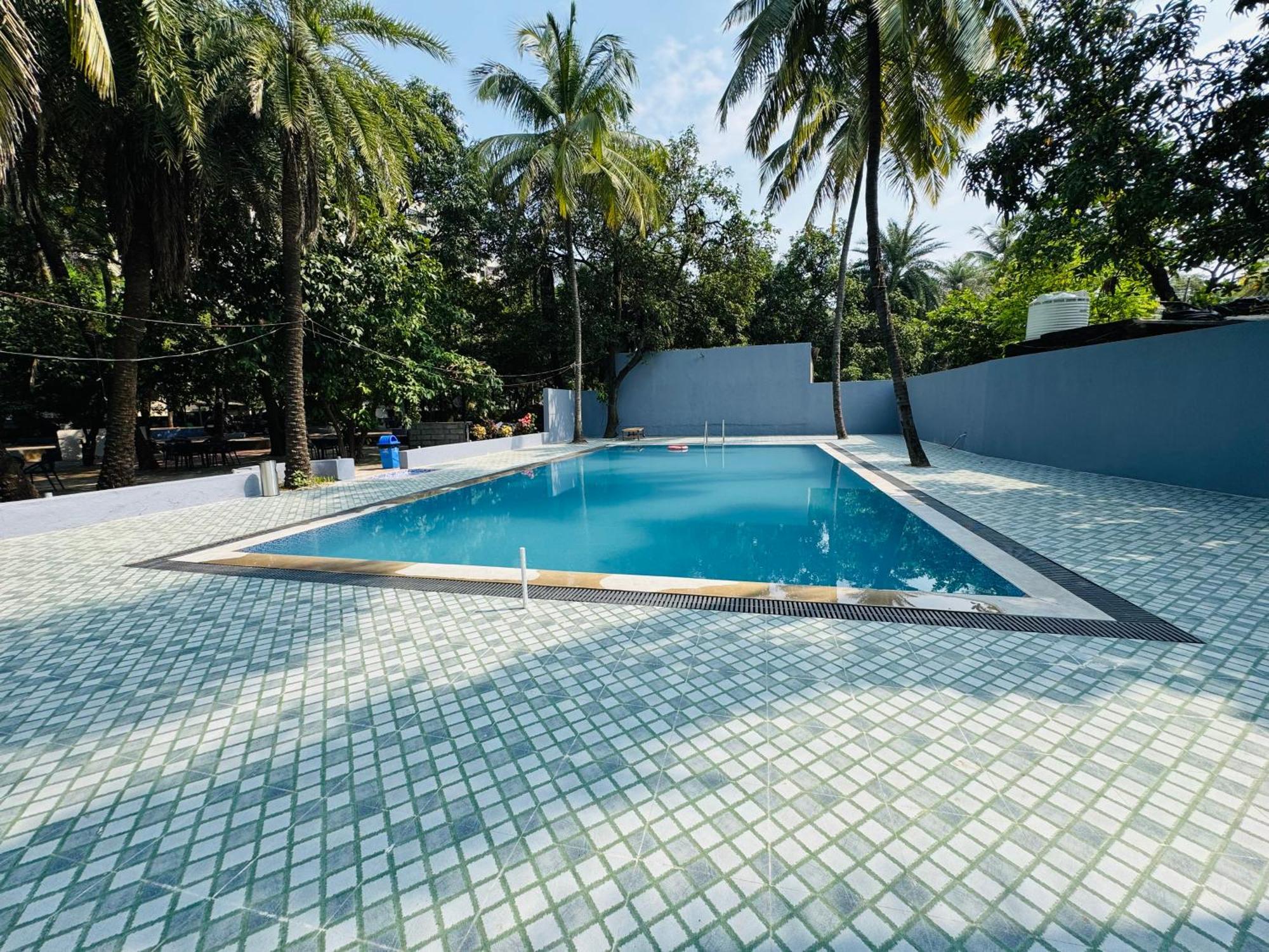Areca Palms & Daman