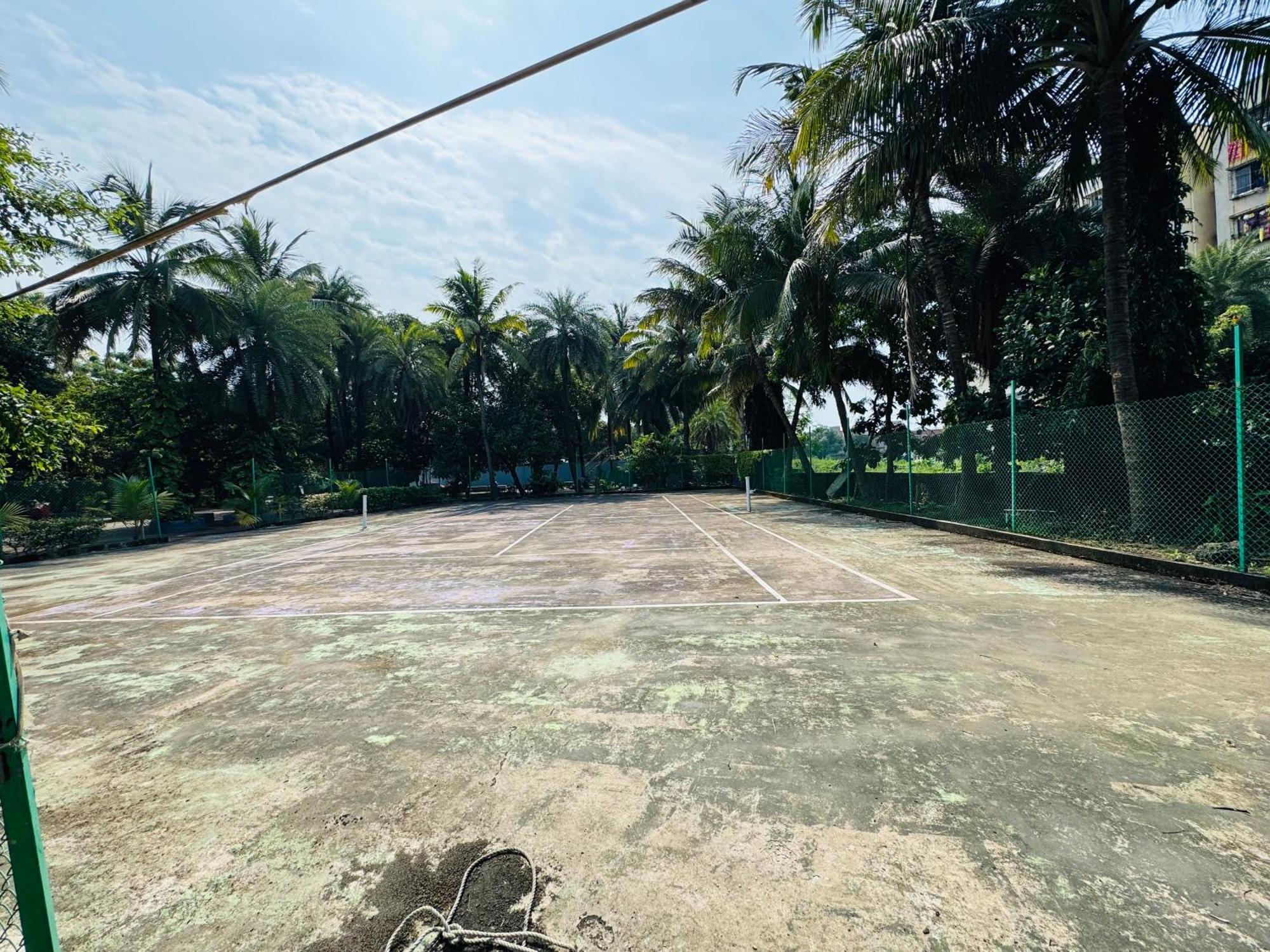 Areca Palms & * Daman