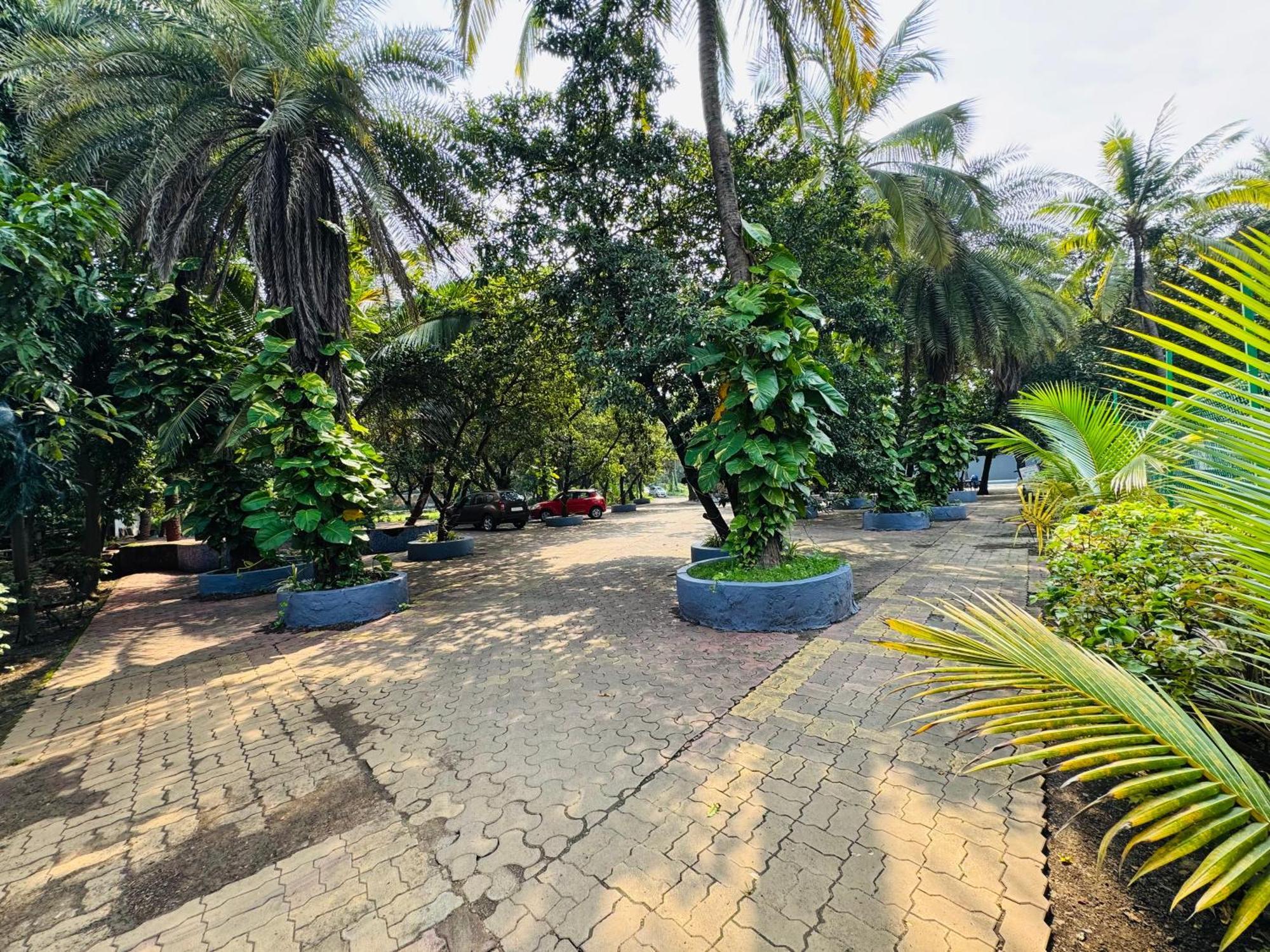 Hotel Areca Palms &