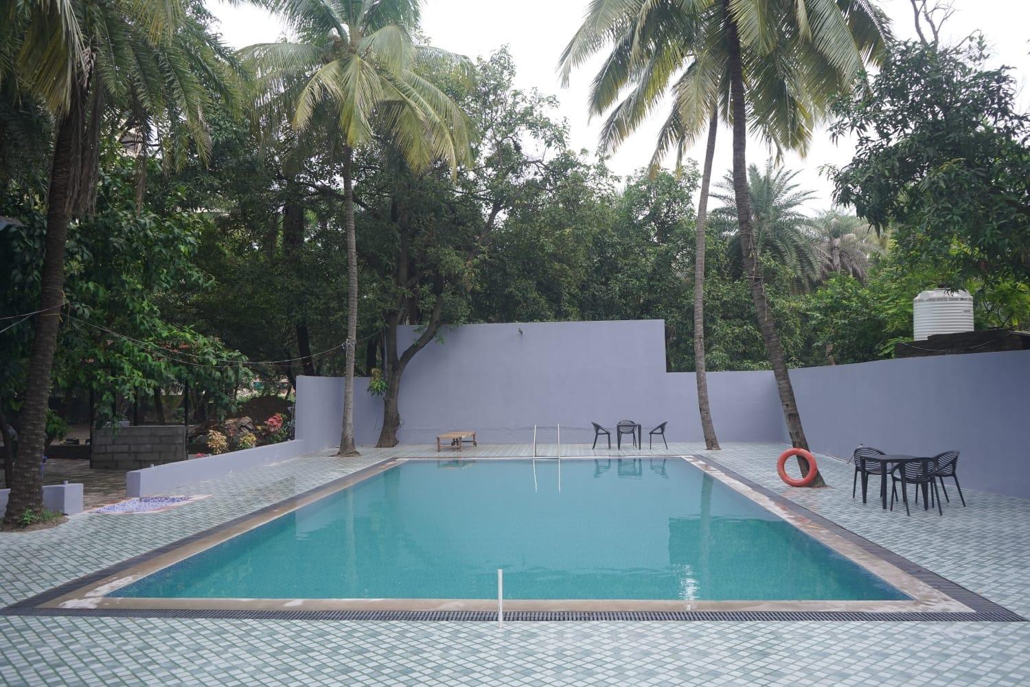 Areca Palms & *