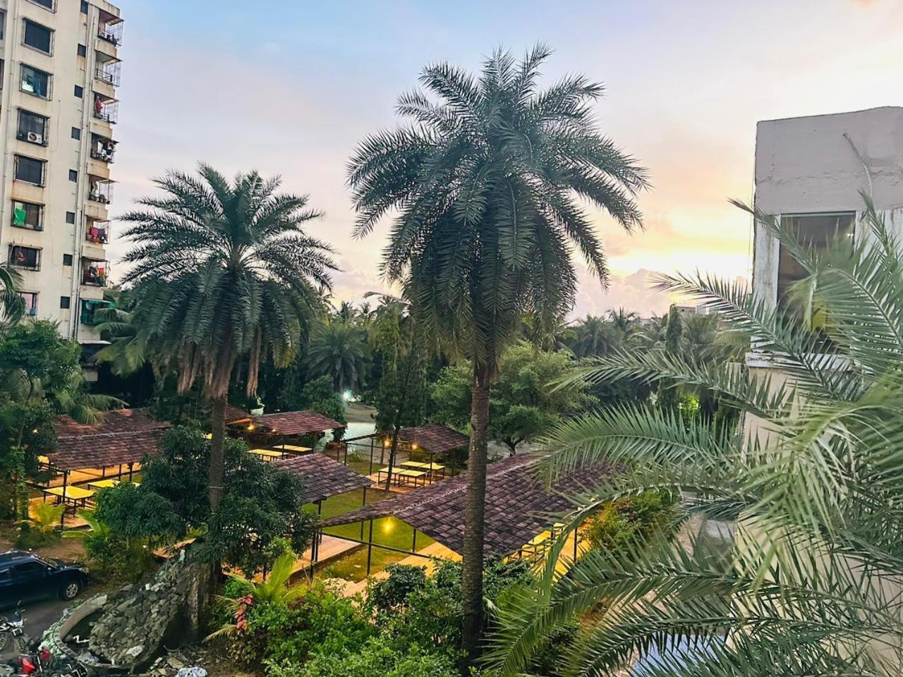 Areca Palms & Hotel