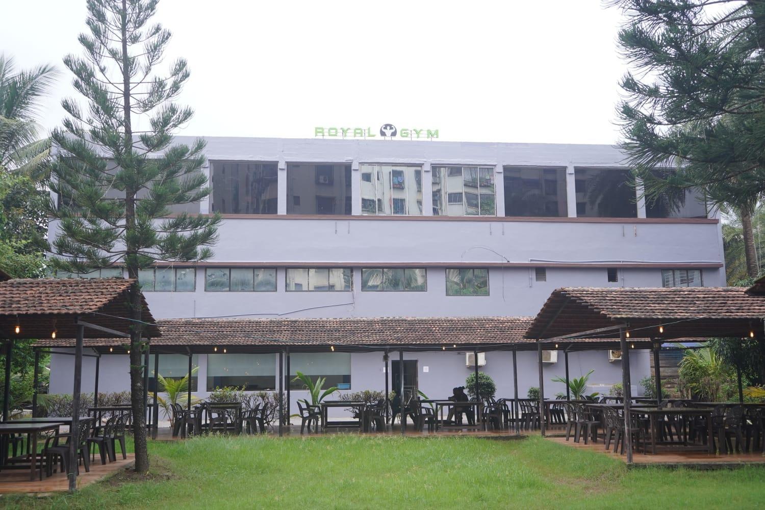 Areca Palms & *