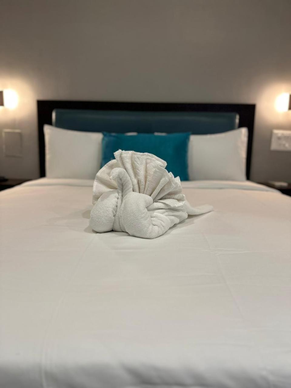 Areca Palms & Hotel *