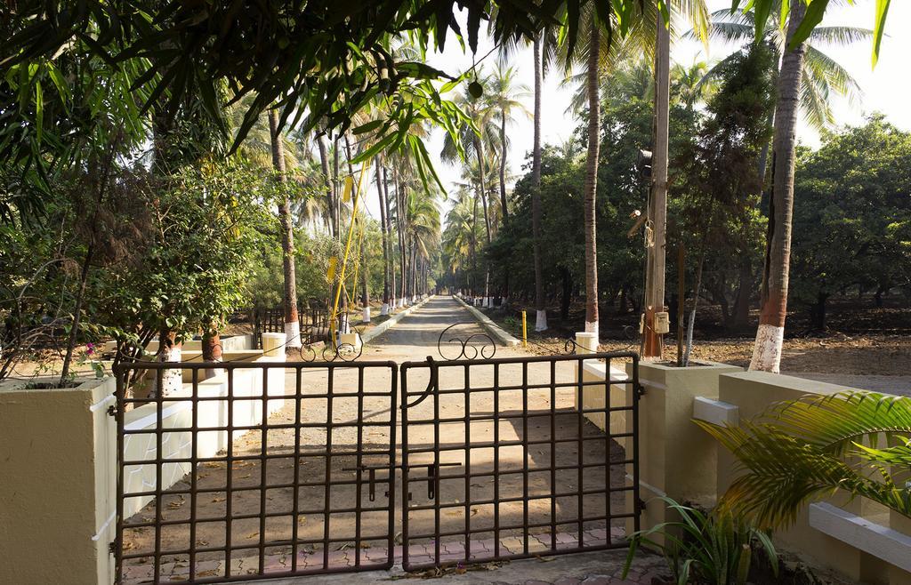 Villa Mati - The Farm